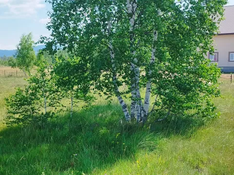 Sale, land lot, 596m², Tepačko polje, Žabljak - image 3