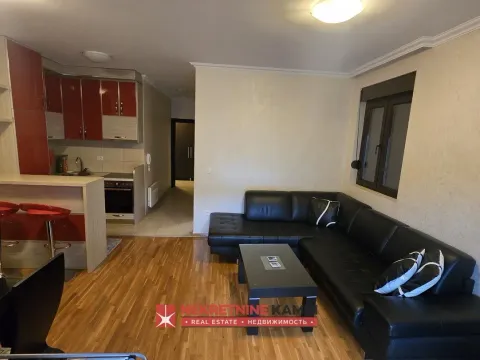 Rent, one bedroom apartment, 59m², Bečići, Budva - image 4