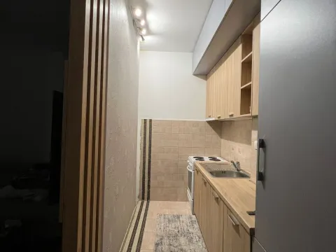 Izdavanje, jednosoban stan, 42m², Ljubović, Podgorica - image 15