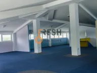 Sale, office space, 900m², Ostalo, Podgorica - image 13