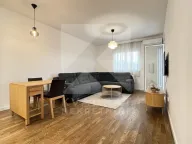 Izdavanje, jednosoban stan, 45m², Stari Aerodrom, Podgorica - image 1