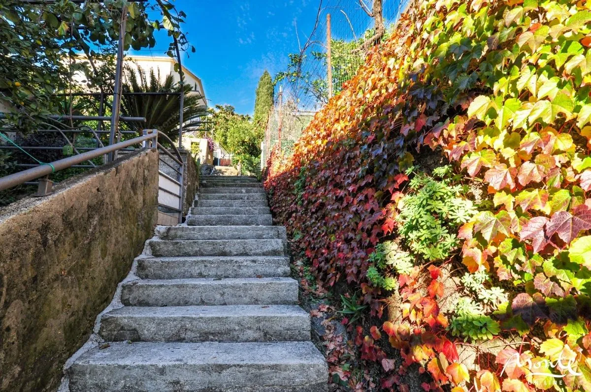 Sale, house, 288m², Budva, Crna Gora