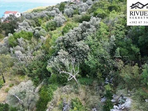 Sale, land lot, 2985m², Zabrđe, Herceg Novi - image 5