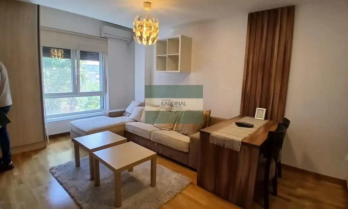Izdavanje, garsonjera, 27m², Centar, Jagodina