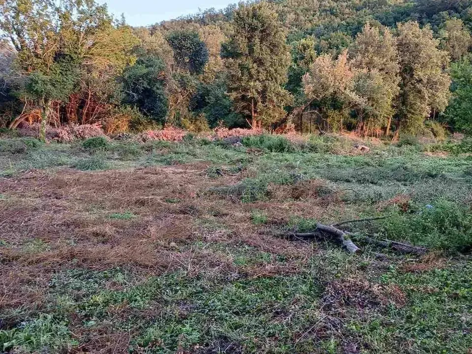 Prodaja, plac, 10300m², Kotor, Crna Gora