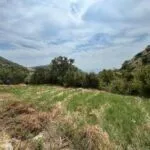 Prodaja, plac, 1097m², Petrovac, Budva - image 6