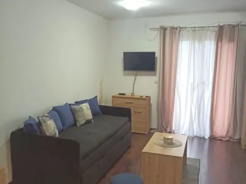 Izdavanje, garsonjera, 25m², Voždovac Sve Podlokacije, Beograd