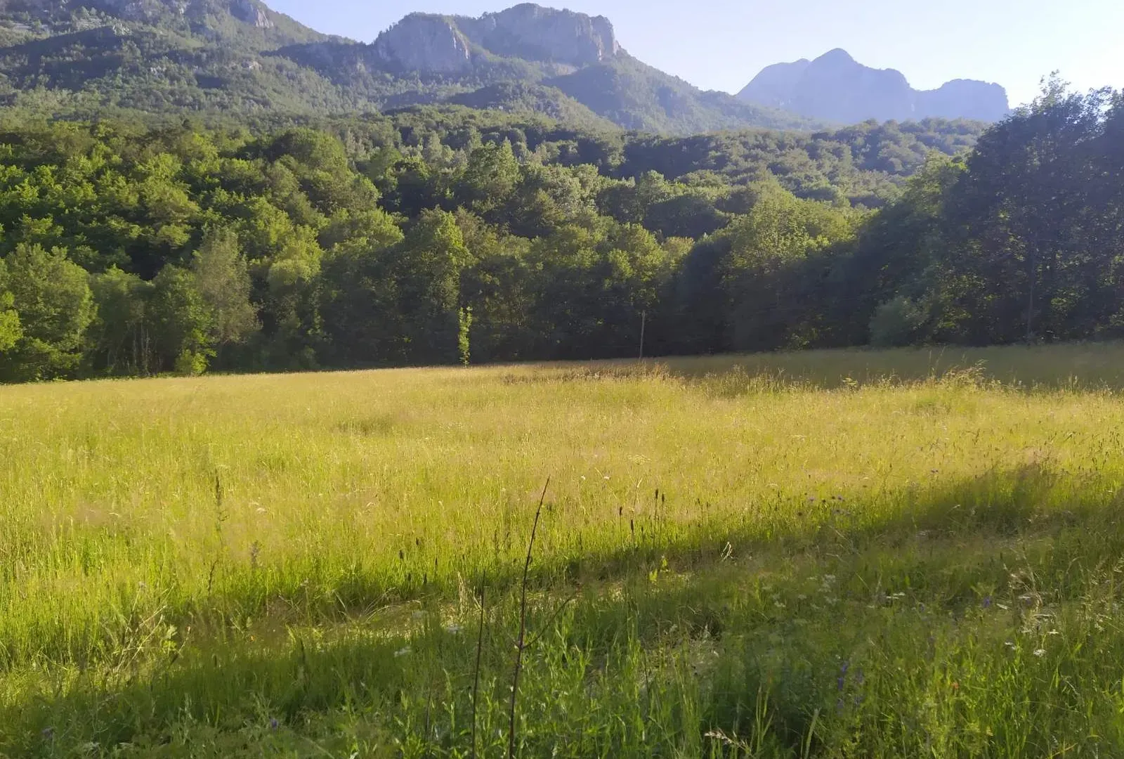 Prodaja, plac, 10000m², Kolašin, Crna Gora