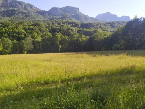 Prodaja, plac, 10000m², Kolašin, Crna Gora - image 4