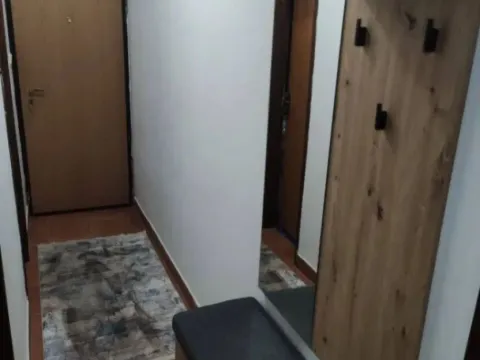 Izdavanje, garsonjera, 34m², Tološka šuma, Podgorica - image 8