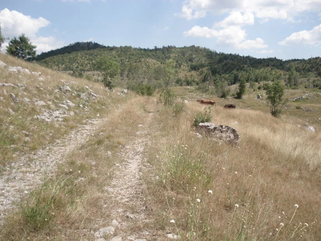 Prodaja, plac, 800000m², Cetinje, Crna Gora