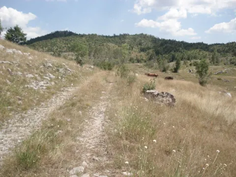 Prodaja, plac, 800000m², Cetinje, Crna Gora - image 5