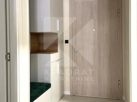 Izdavanje, jednosoban stan, 53m², Central Point, Podgorica - image 18