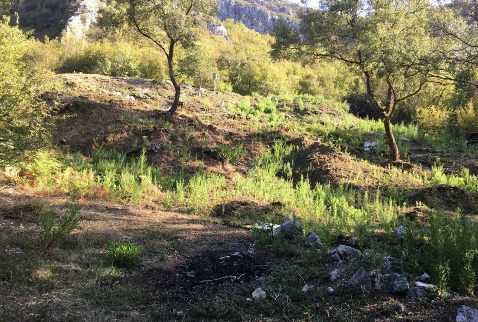 Prodaja, plac, 1000m², Bar, Crna Gora