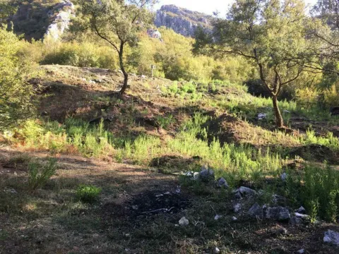 Prodaja, plac, 1000m², Bar, Crna Gora - image 6