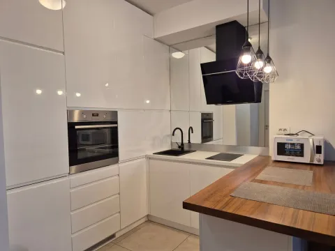 Rent, two bedroom apartment, 48m², Novi Beograd Blok 65, Novi Beograd Sve Podlokacije - image 7