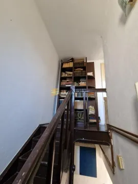 Rent, two bedroom apartment, 34m², Vračar Hram, Vračar Sve Podlokacije - image 13