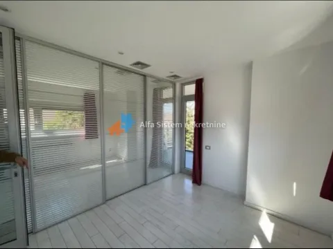 Rent, house, 560m², Veliki Mokri Lug, Zvezdara Sve Podlokacije - image 29