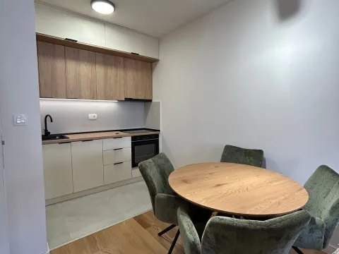 Rent, one bedroom apartment, 49m², Central Point, Podgorica - image 4