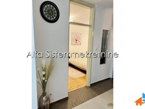 Izdavanje, dvosoban stan, 50m², Voždovac Sve Podlokacije, Beograd - image 13