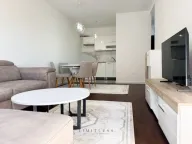 Izdavanje, jednosoban stan, 47m², Central Point, Podgorica - image 6