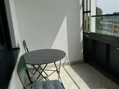 Izdavanje, jednosoban stan, 60m², Zemun Sve Podlokacije, Beograd - image 4