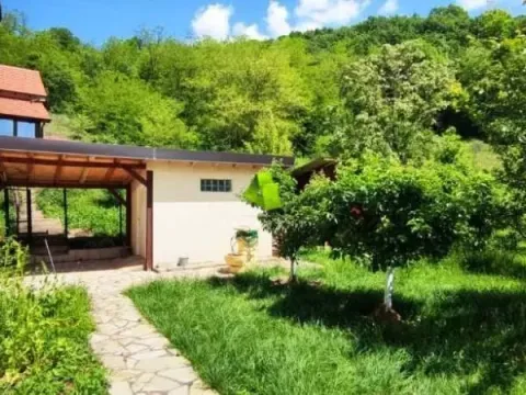 Sale, house, 280m², Gadžin Han, Srbija - image 16