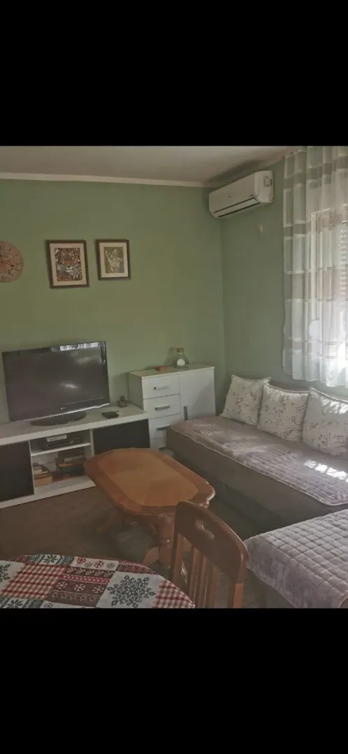 Living room featuring a sofa, television, and wooden coffee table.
