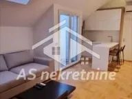 Izdavanje, dvosoban stan, 48m², Crveni Krst, Beograd - image 7