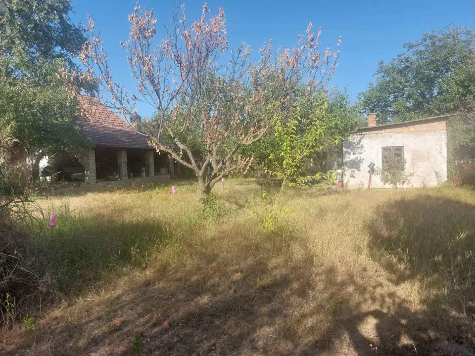Prodaja, plac, 2569m², Čortanovci, Inđija