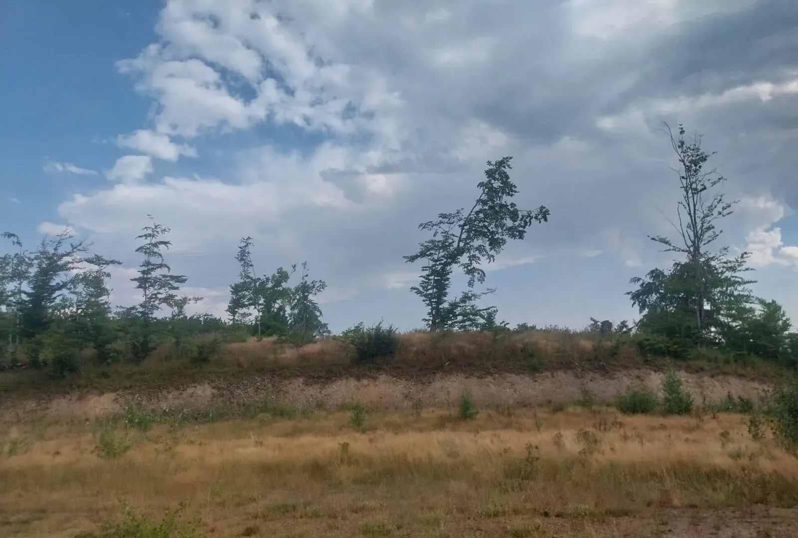 Prodaja, plac, 603m², Kolašin, Crna Gora