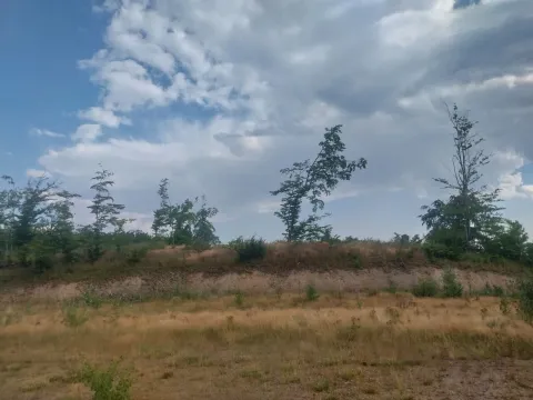 Prodaja, plac, 603m², Kolašin, Crna Gora - image 3