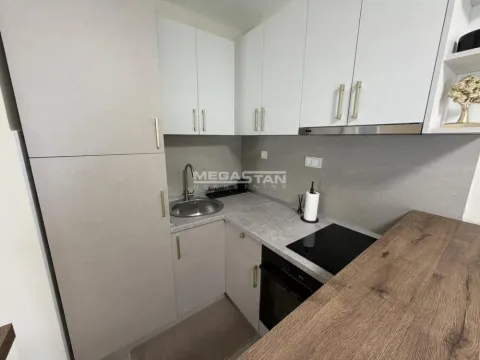 Rent, two bedroom apartment, 54m², Vračar Hram, Vračar Sve Podlokacije - image 7