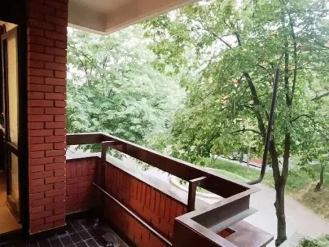 Rent, one bedroom apartment, 54m², Višnjička Banja, Palilula Sve Podlokacije - image 9