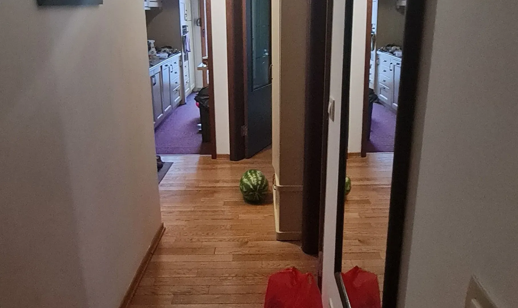 Prodaja, dvosoban stan, 81m², Kruševac, Podgorica