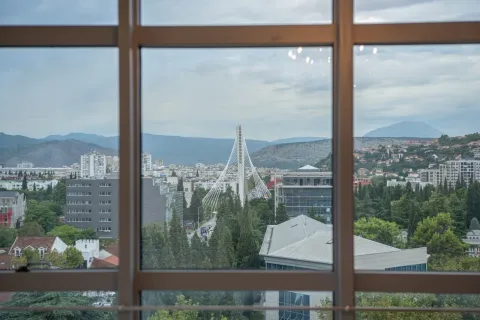View through the window of the city and the bridge. - image 10