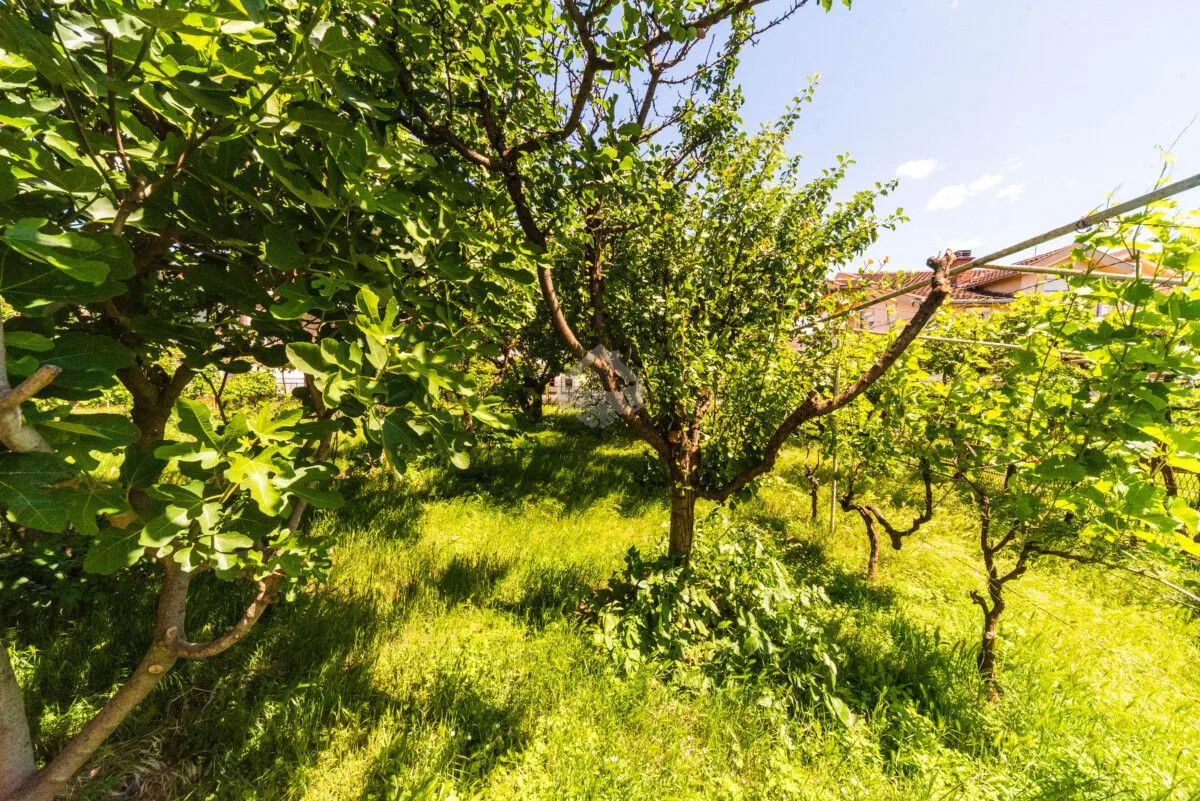 Sale, house, 320m², Zlatica, Podgorica