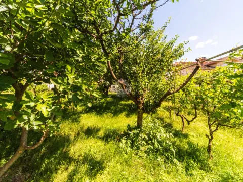 Prodaja, kuća, 320m², Zlatica, Podgorica - image 4