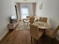 Izdavanje, jednosoban stan, 45m², Centar, Podgorica - image 3