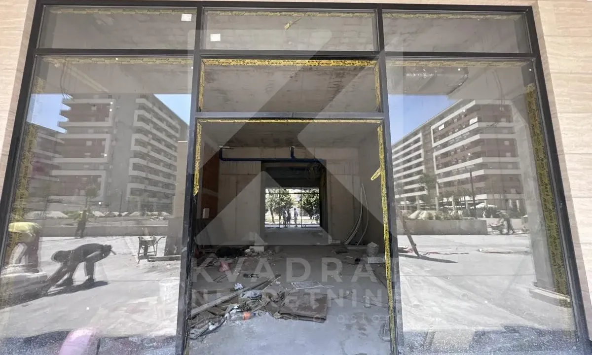 Izdavanje, poslovni prostor, 166m², Central Point, Podgorica