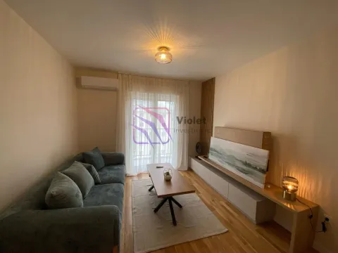 Rent, one bedroom apartment, 40m², Zabjelo, Podgorica - image 6