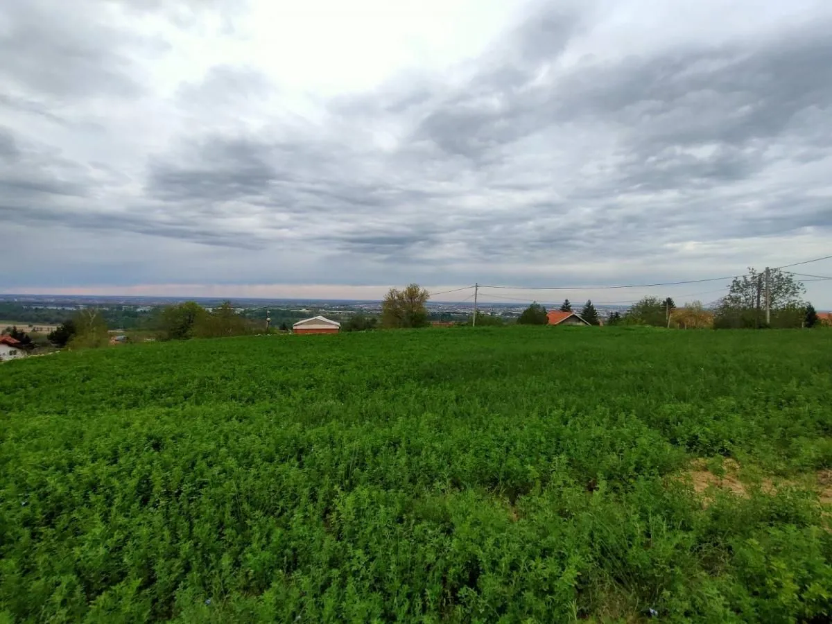 Prodaja, plac, 1100m², Beočin, Srbija