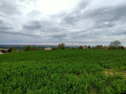 Prodaja, plac, 1100m², Beočin, Srbija - image 5