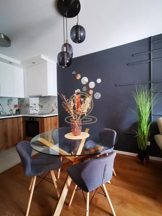 Rent, two bedroom apartment, 47m², Višnjička Banja, Palilula Sve Podlokacije