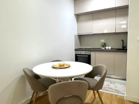 Izdavanje, jednosoban stan, 47m², Central Point, Podgorica - image 4