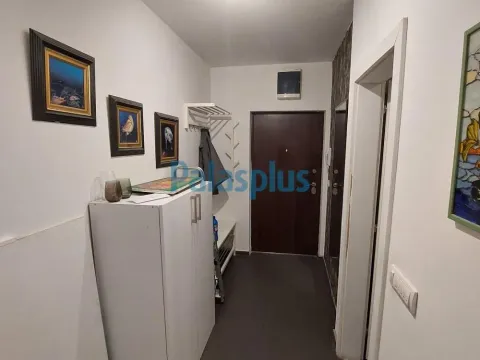 Izdavanje, jednosoban stan, 31m², Olimp, Zvezdara Sve Podlokacije - image 8