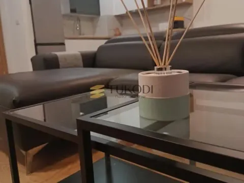 Izdavanje, dvosoban stan, 54m², Novi Beograd Blok 65, Novi Beograd Sve Podlokacije - image 3