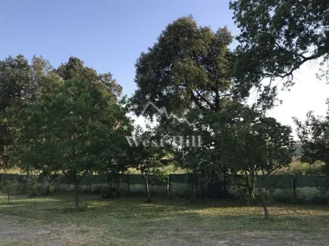 Prodaja, ugostiteljski objekat, 274m², Utjeha, Bar - image 6