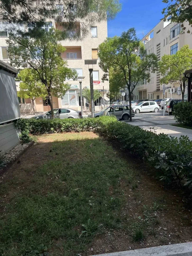 A small grassy lawn in front of a residential building surrounded by trees.