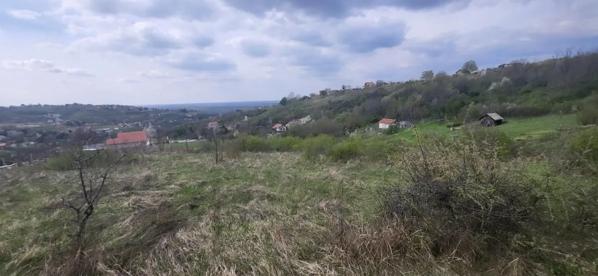 Sale, land lot, 2800m², Beočin, Srbija
